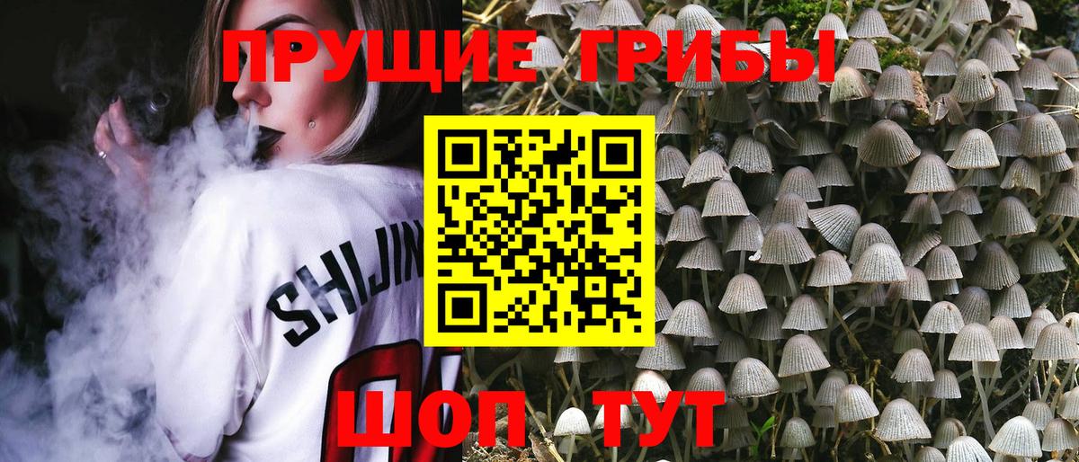 Галлюциногенные грибы Cubensis Карталы