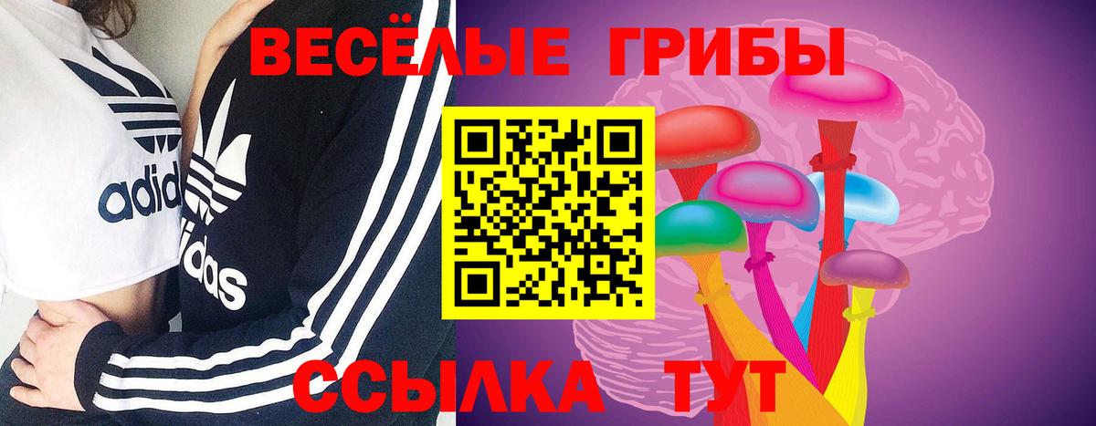 Псилоцибиновые грибы Cubensis  Псилоцибиновые грибы мицелий  Вход с VPN  Карталы 